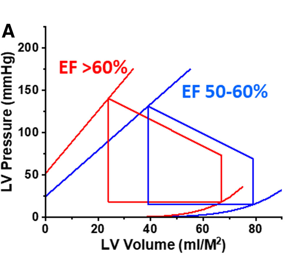 Hier fehlt Diagramm der Druck-Volumen-Beziehung